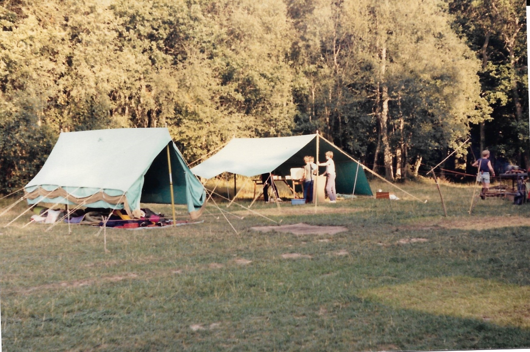 Tent and Shelter